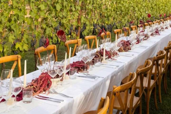 Outdoor dining table with wine glasses and red leaves.