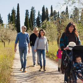 Family walking along a cypress-lined path through olive groves in Tuscany